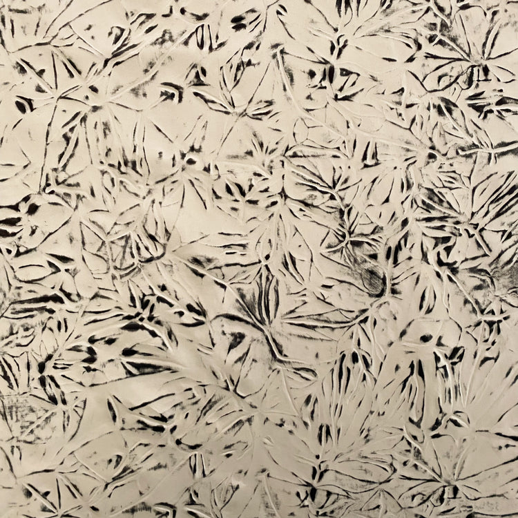 Burnished Bonded Embossed Taffeta - Cornsilk / Black