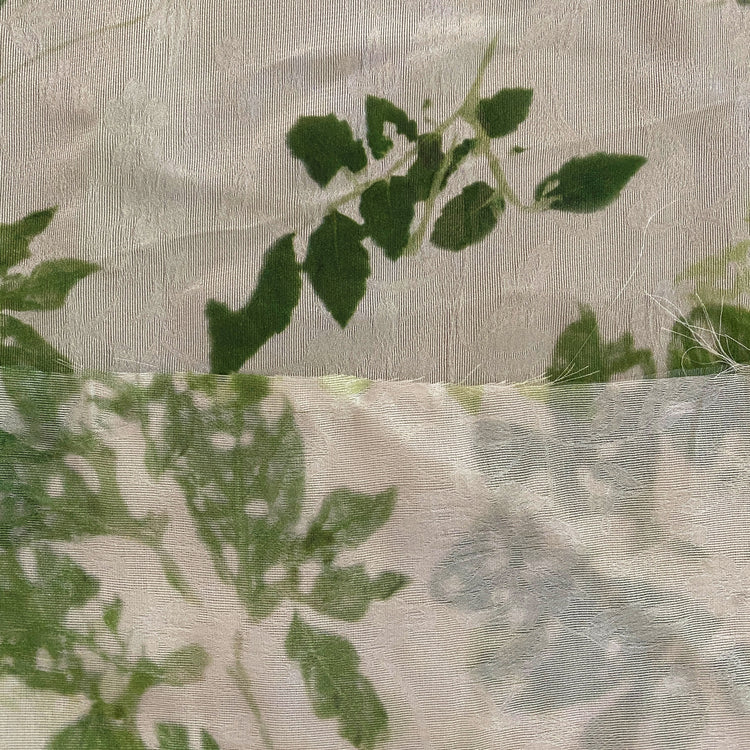 Leaf Impression Floral Jacquard Voile - Forest Green / Ivory
