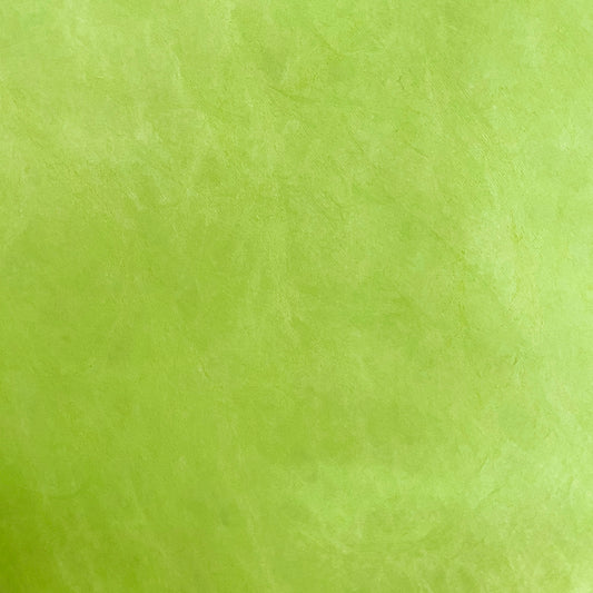 Tyvek Paper - Lime Green