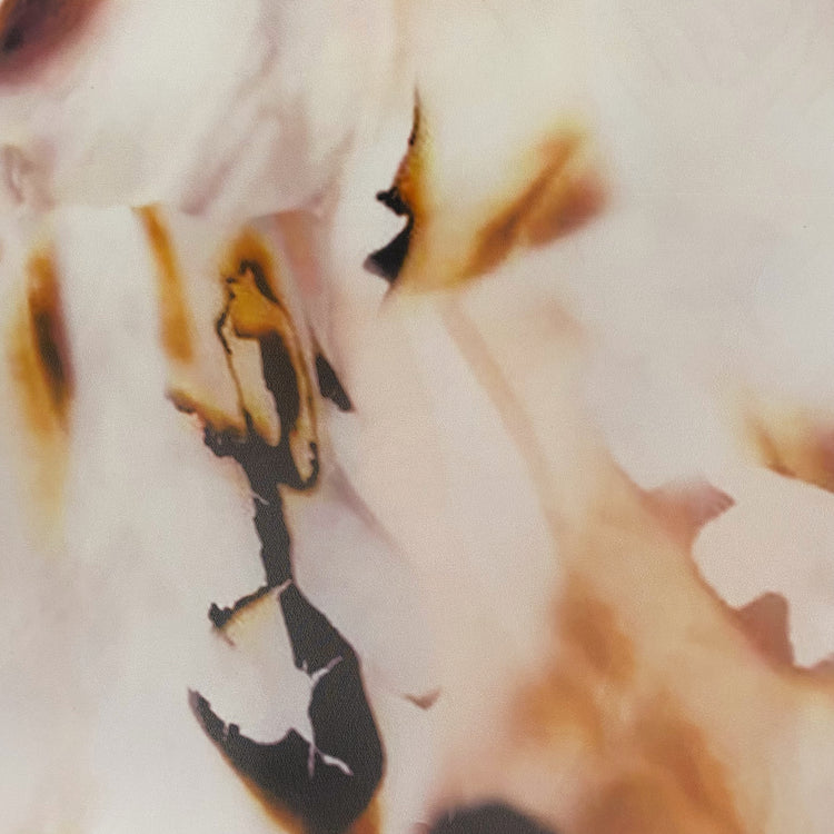 Burnt Paper Print Crepe de Chine - White/Orange