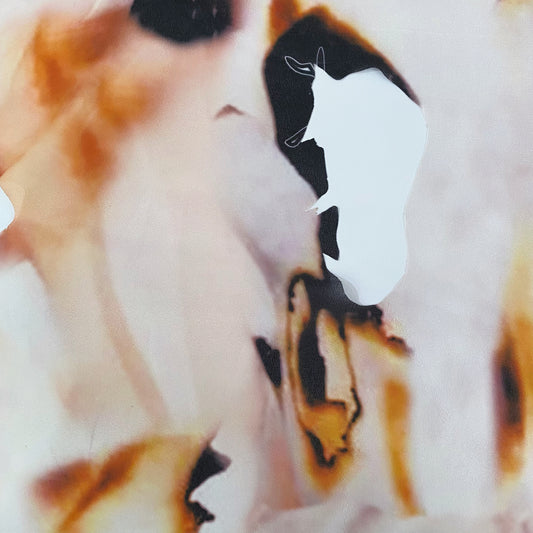 Burnt Paper Print Crepe de Chine - Cut Holes - White/Orange