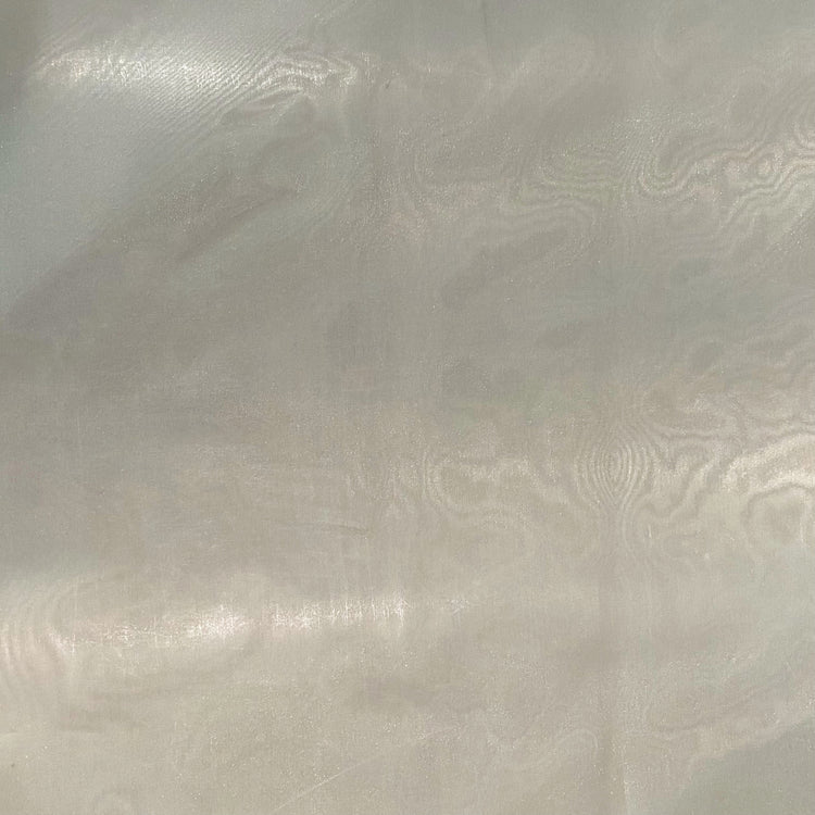 Frosted Organza - White