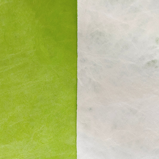 Tyvek Paper - Lime Green