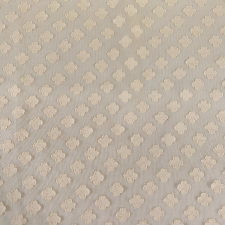 Floral Appliqué Chiffon - Antique White