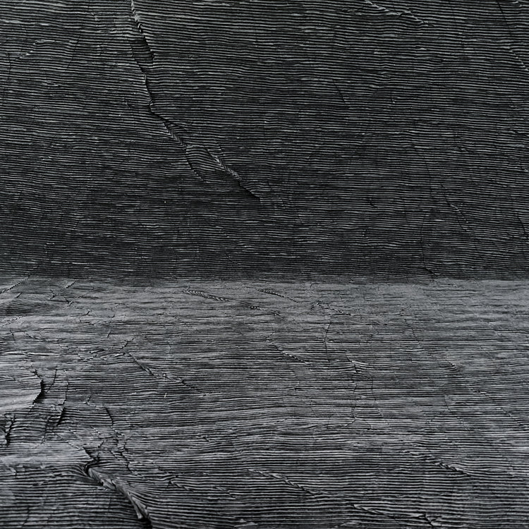 Crease-Pressed Plisse - Black