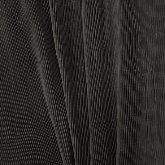 Accordion-Pleated Taffeta - Black