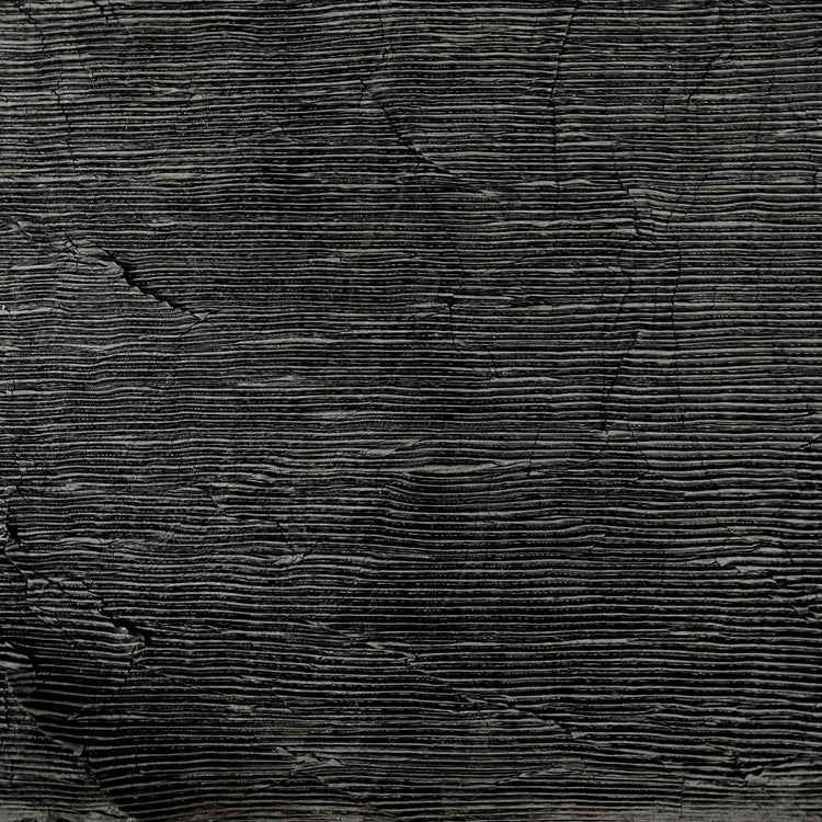 Crease-Pressed Plisse - Black