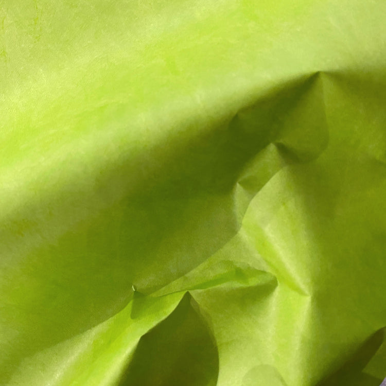 Tyvek Paper - Lime Green