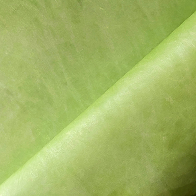 Tyvek Paper - Lawn Green