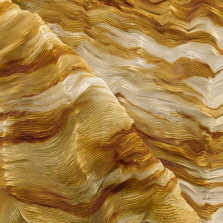 Flame Print Plisse Chiffon - Dark Goldenrod / Pale Yellow