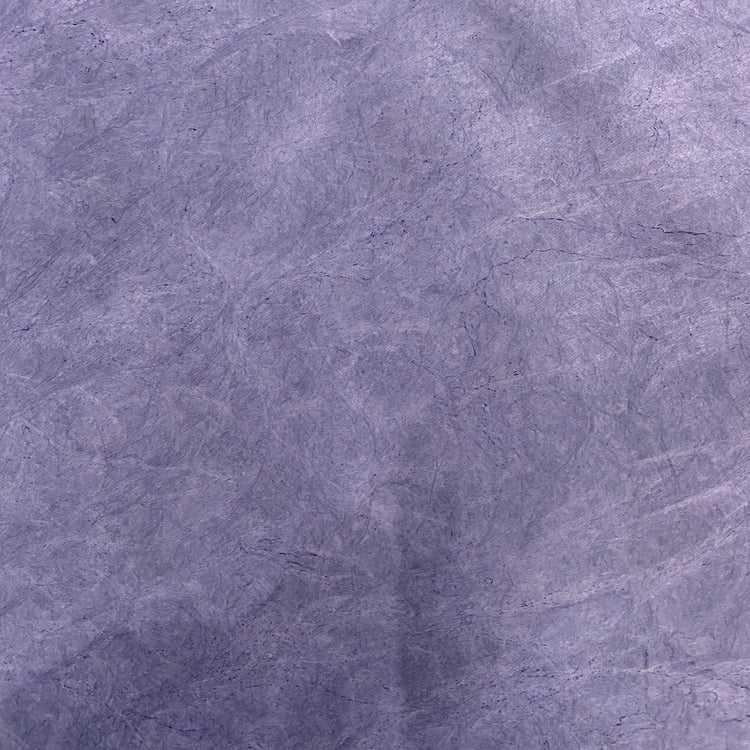 Tyvek Paper - Slate Blue