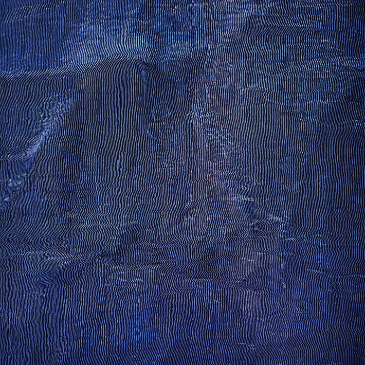 Plisse Shot Organza - Ultramarine / Black
