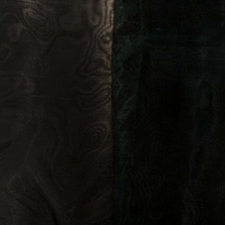 Plain Organza - Black