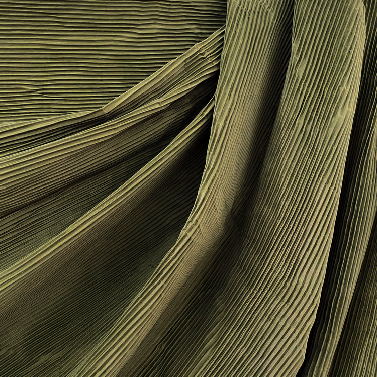 Accordion-Pleated Taffeta - Olive